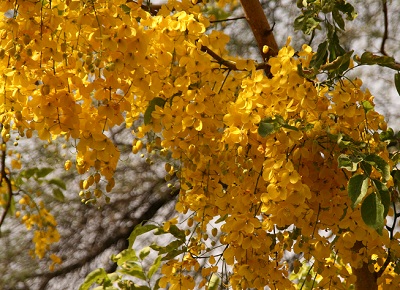 c0338191_01152666.jpg