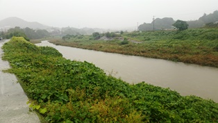 e0143298_18452353.jpg