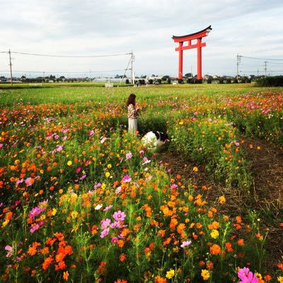 ノアくん記念日_f0081100_17412682.jpg