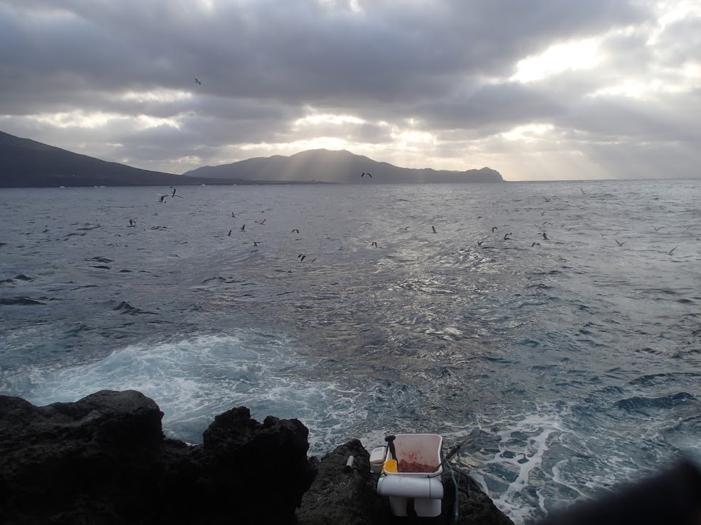 強風止まず 八丈島 第３の釣り