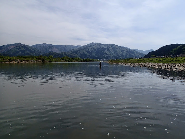 川 九頭竜