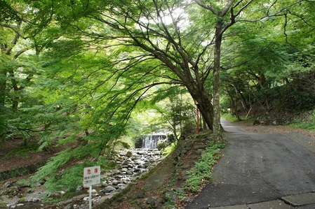 b0112909_17194989.jpg