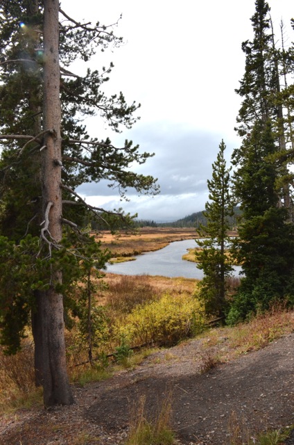 f0227709_335217.jpg