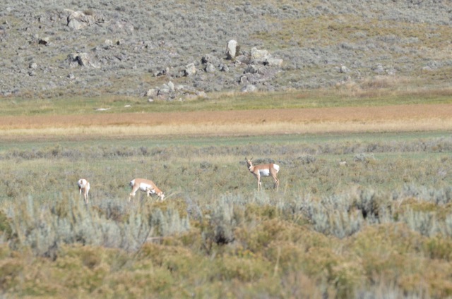 f0227709_3552449.jpg