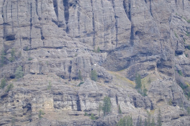 f0227709_3553145.jpg