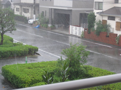 b0183111_8383596.jpg