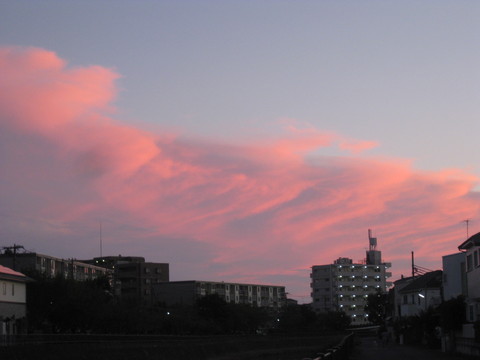 b0183111_8471948.jpg
