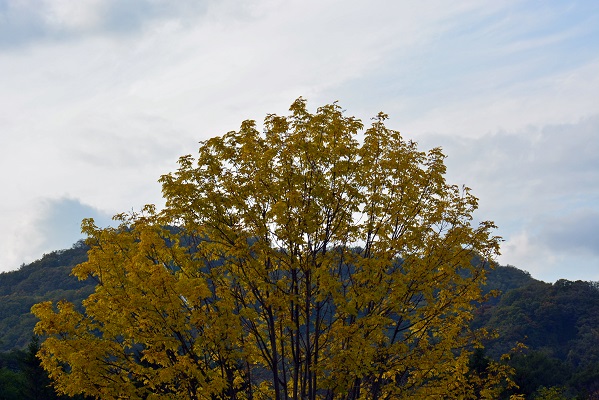 a0151913_4143182.jpg