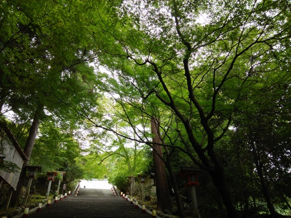e0033713_18325712.jpg