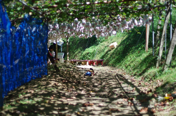 f0195813_21125834.jpg