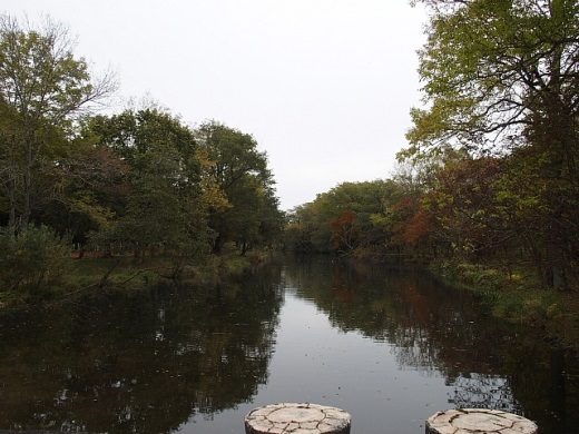 e0062415_19462760.jpg