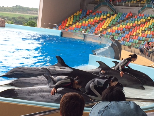 楽しかったです白浜_e0128024_1321258.jpg