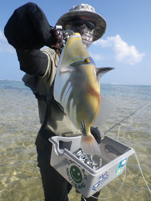 石垣島中毒の夫を持つ妻のブログ_f0097924_1315848.jpg