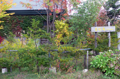 a0046429_23354262.jpg