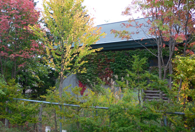 a0046429_2336120.jpg