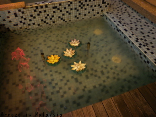 f0339434_00565571.jpg