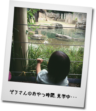 f0343535_14161947.png