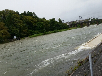 c0266737_8265215.jpg