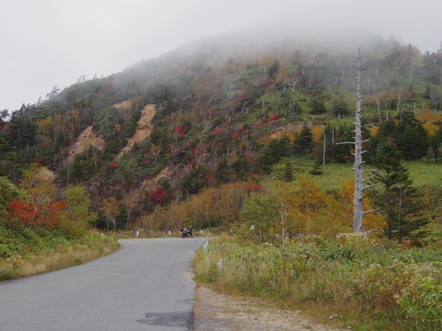 f0300637_20154435.jpg
