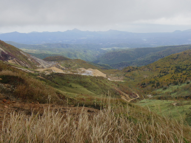 f0300637_20172200.jpg