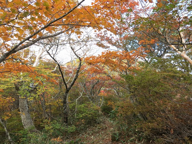 ２０１４．１０．２前烏帽子岳～後烏帽子岳_f0003138_1411796.jpg