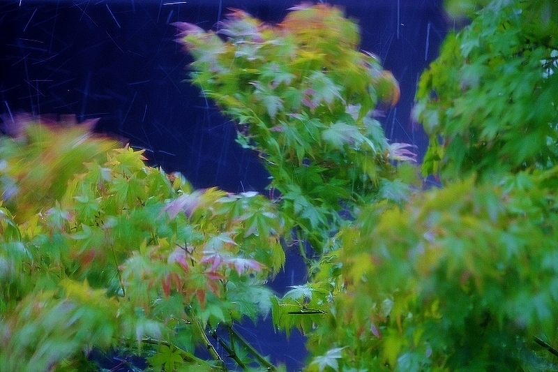 人が消える?_b0314043_14424440.jpg