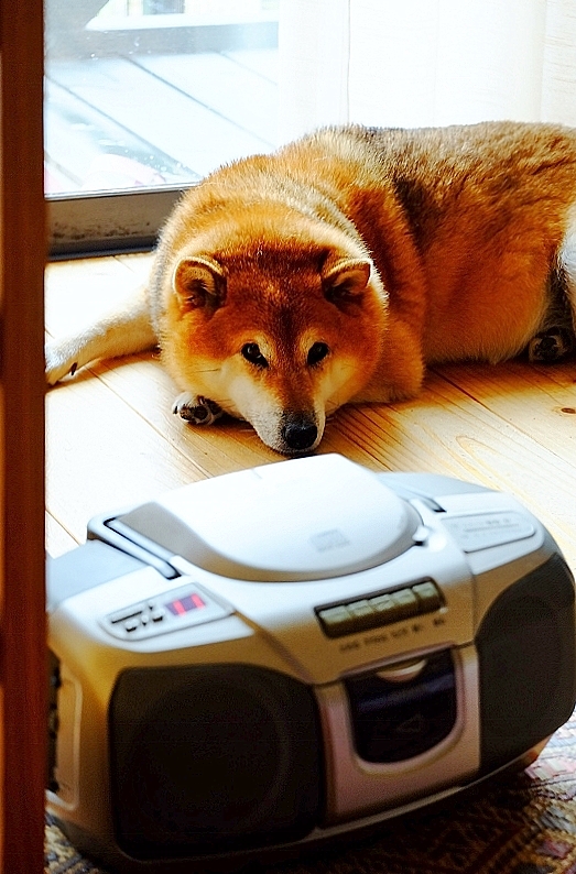 人が消える?_b0314043_15263484.jpg