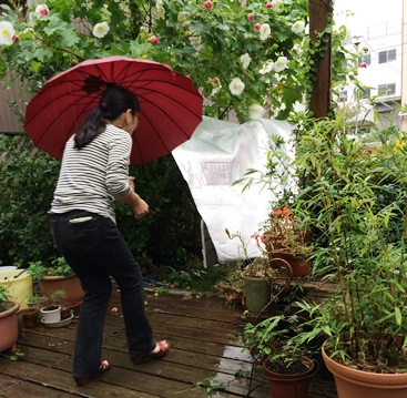 １０月５日　台風が来てます～_a0103948_1513769.jpg