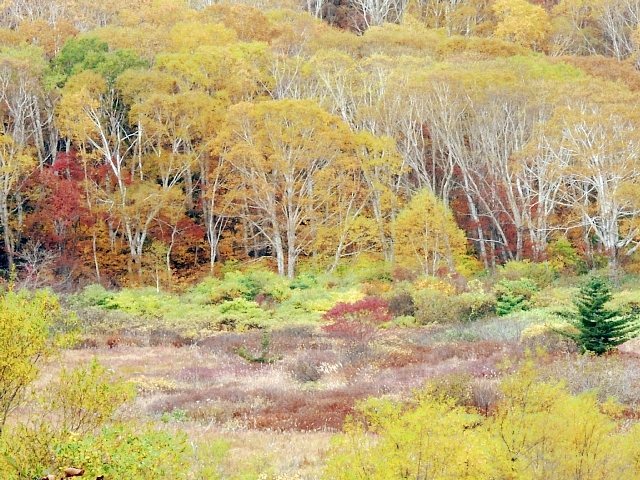 b0122448_21361904.jpg