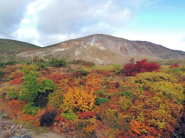 b0122448_21414764.jpg