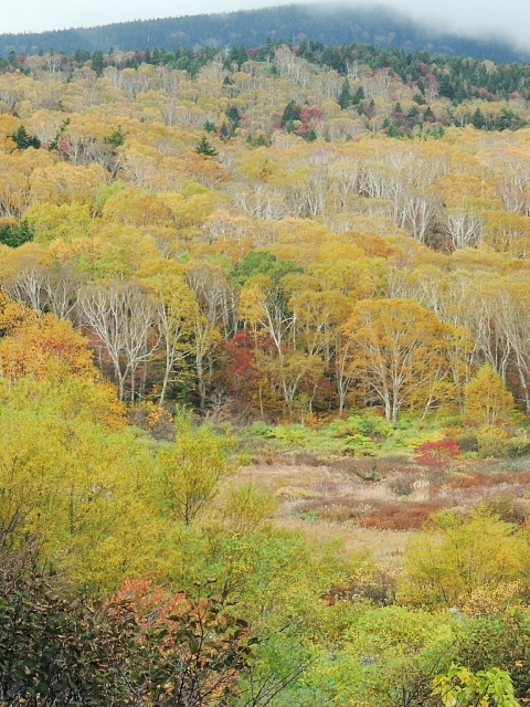 b0122448_21422339.jpg