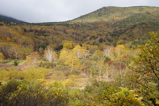 b0122448_22061928.jpg