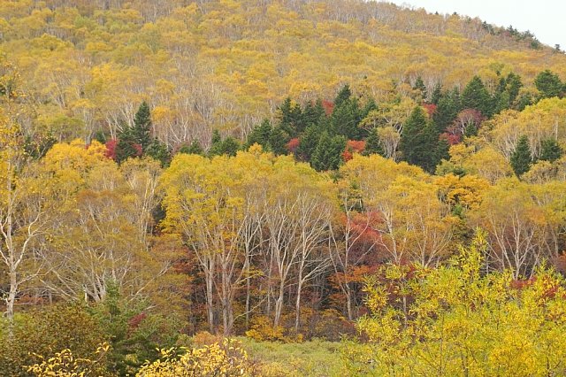 b0122448_22320194.jpg
