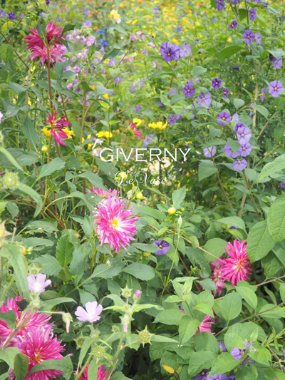 モネのGivernyへ_e0158653_18514872.jpg