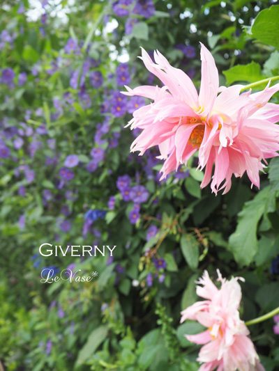 モネのGivernyへ_e0158653_196412.jpg