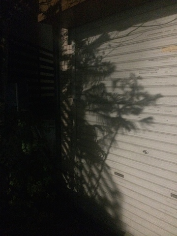 最近_b0132059_0351977.jpg