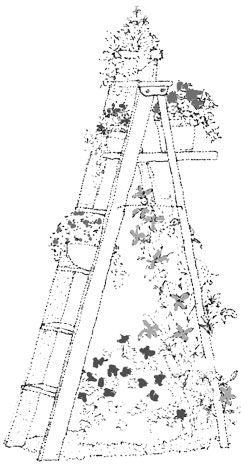 f0260167_8343771.jpg