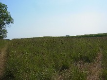 a0222070_16321235.jpg