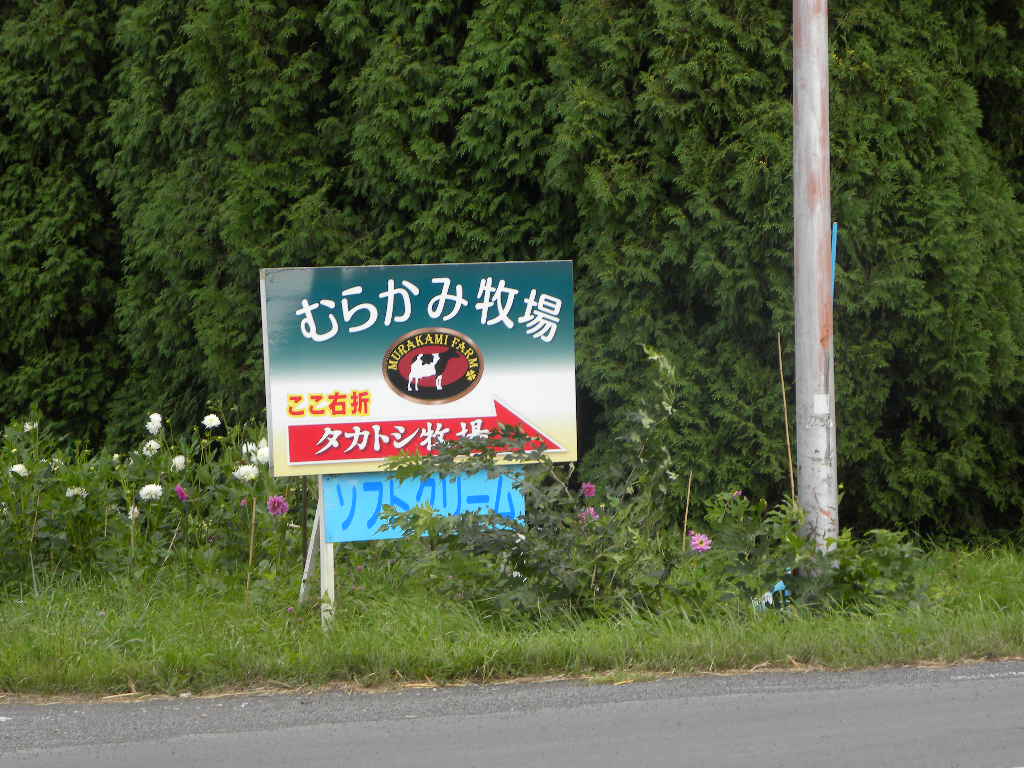 北海道報告・・・③(千歳バーベキュー・アイス)_c0162773_16121248.jpg