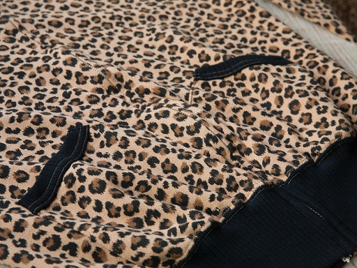 LEOPARD_d0160378_20532893.jpg