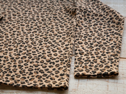 LEOPARD_d0160378_20554070.jpg