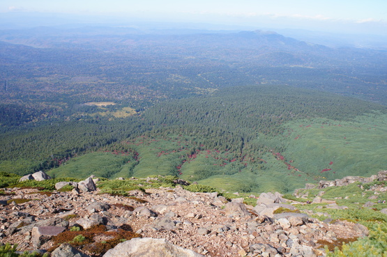 e0335379_9253071.jpg