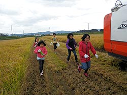 稲刈り体験(目黒角田絆交流田)_d0247484_9395942.jpg