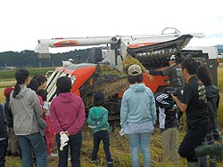 稲刈り体験(目黒角田絆交流田)_d0247484_9403746.jpg