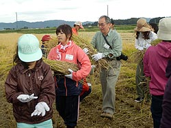 稲刈り体験(目黒角田絆交流田)_d0247484_945030.jpg