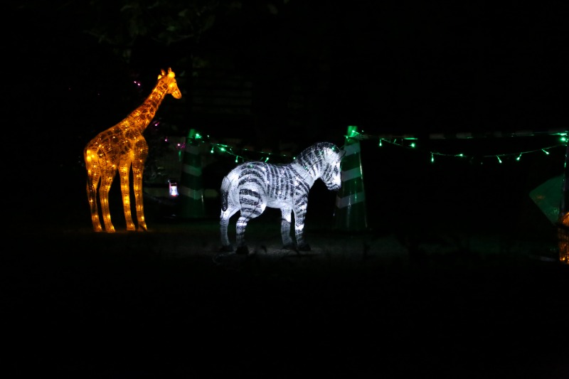 f0140087_63814.jpg