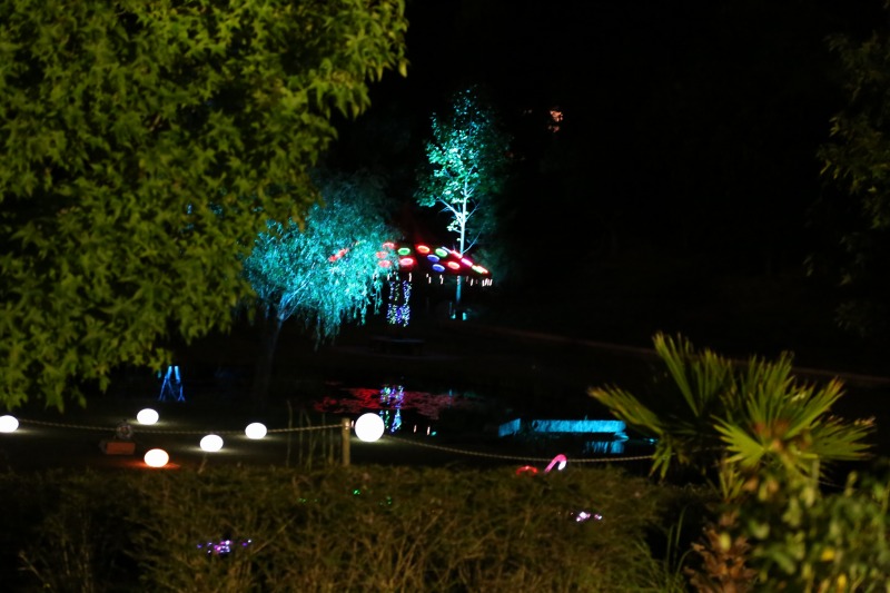 f0140087_65476.jpg