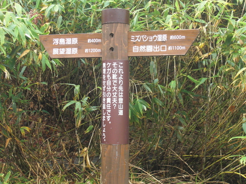 b0169292_8232292.jpg