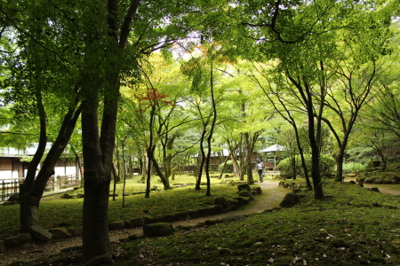 小さな旅・・・・龍野＆斑鳩寺_b0223592_081464.jpg