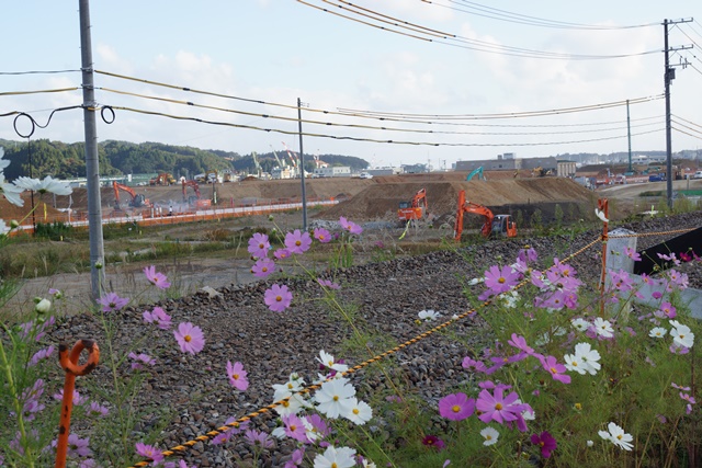 気仙沼の復興と小野寺五典元防衛大臣に期待するもの、そして有効な気仙沼の復興方法_d0181492_21265764.jpg